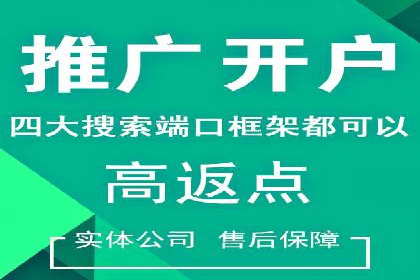百度推广在电商行业的应用案例
